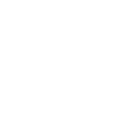 Secure Payment Icon